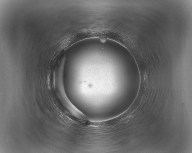 X0000059801300200510241318