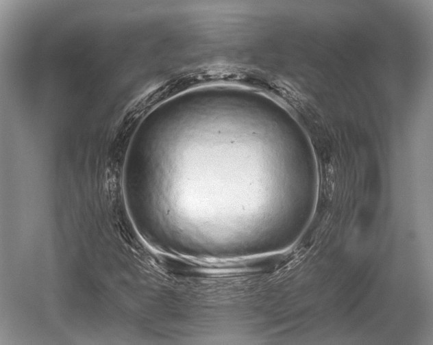 X0000059801302200510241318