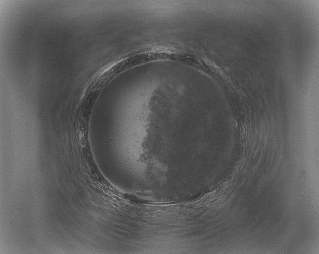 X0000059801303200510241318