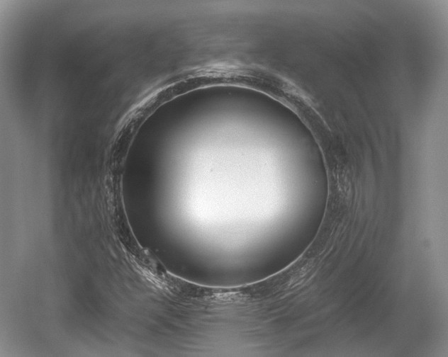 X0000059801304200510241318