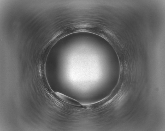 X0000059801305200510241318