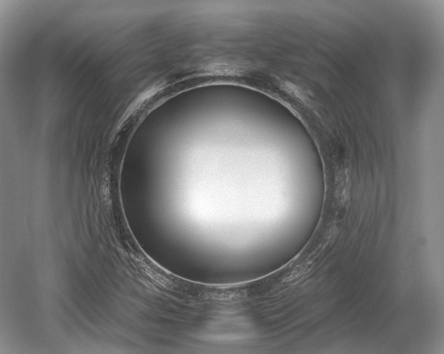 X0000059801307200510241319