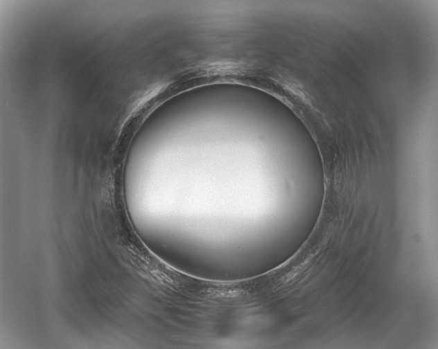 X0000059801309200510241319