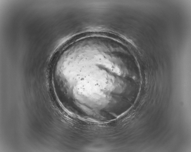 X0000059801311200510241319