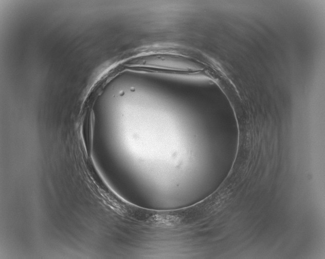 X0000059801312200510241319