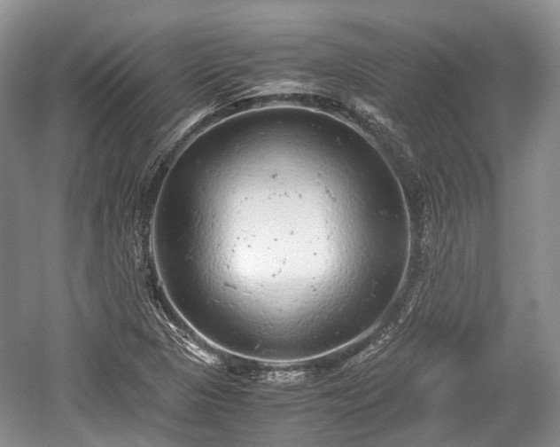 X0000059801313200510241319