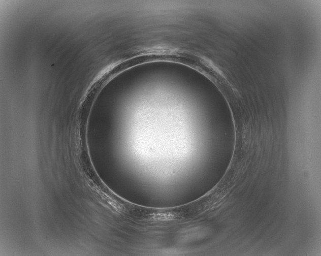 X0000059801315200510241319