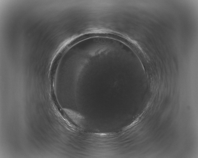 X0000059801319200510241319