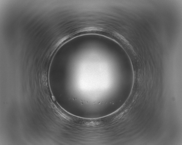 X0000059801321200510241319