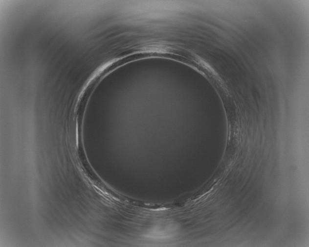 X0000059801323200510241319