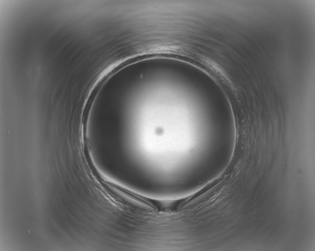 X0000059801324200510241319