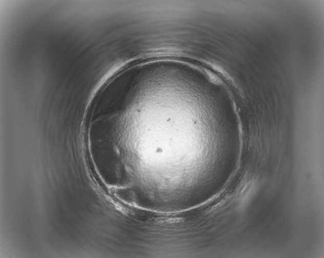 X0000059801325200510241319