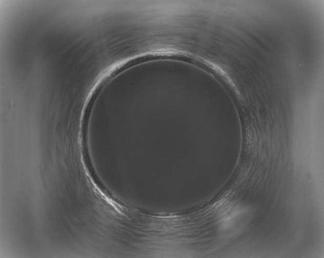 X0000059801327200510241319