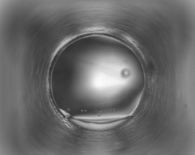 X0000059801328200510241319