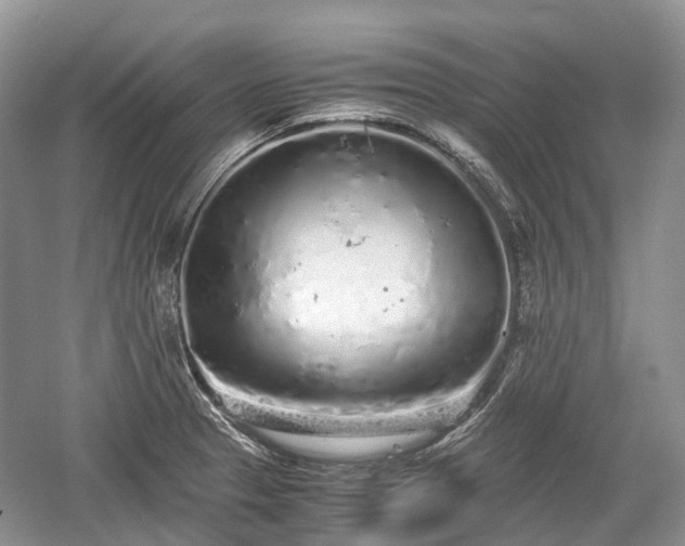 X0000059801329200510241319