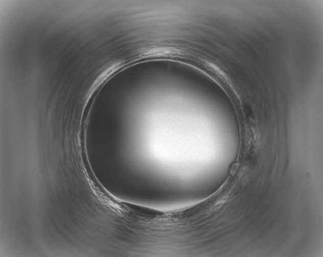 X0000059801330200510241319