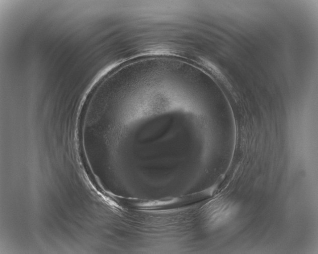 X0000059801331200510241319