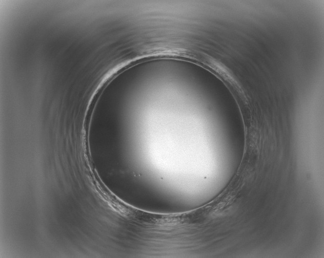 X0000059801332200510241319