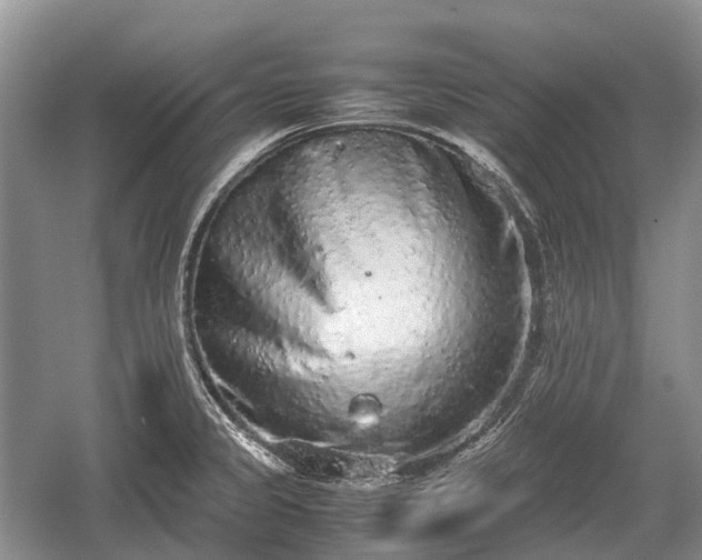 X0000059801333200510241319