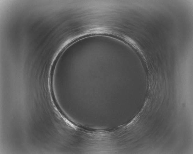 X0000059801334200510241319