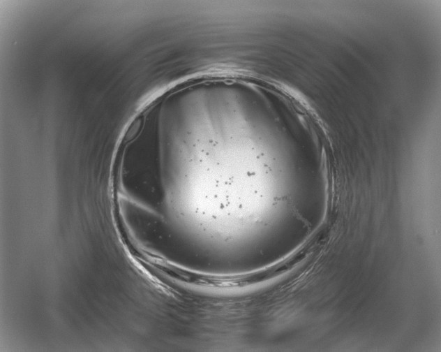 X0000059801335200510241319