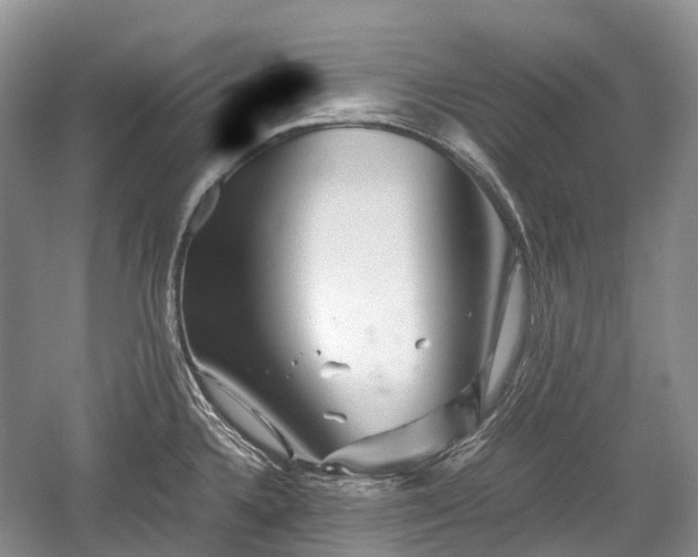 X0000059801336200510241319