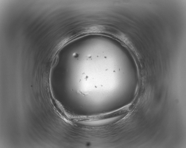 X0000059801337200510241319