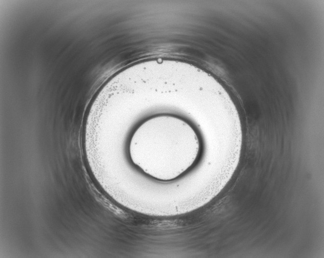 X0000059801338200510241319