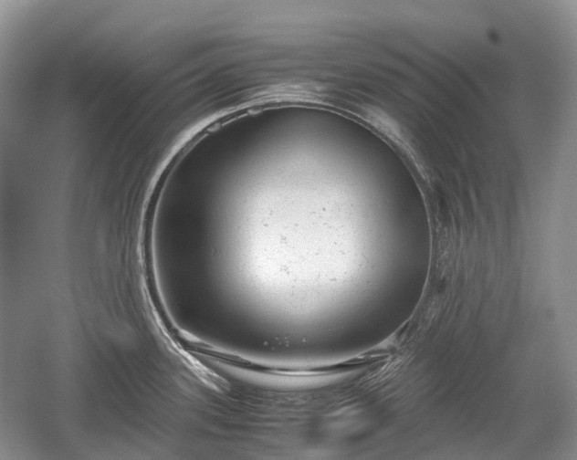 X0000059801339200510241319