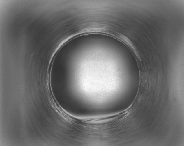 X0000059801340200510241319