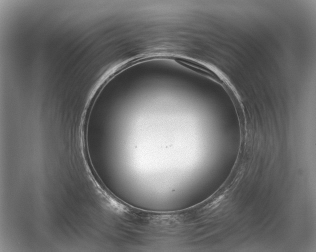 X0000059801341200510241319