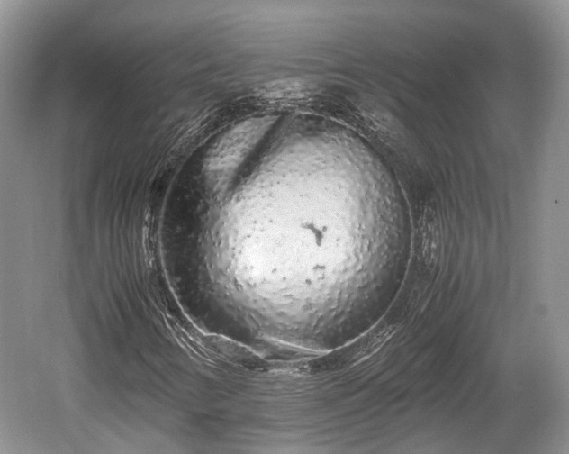 X0000059801346200510241318