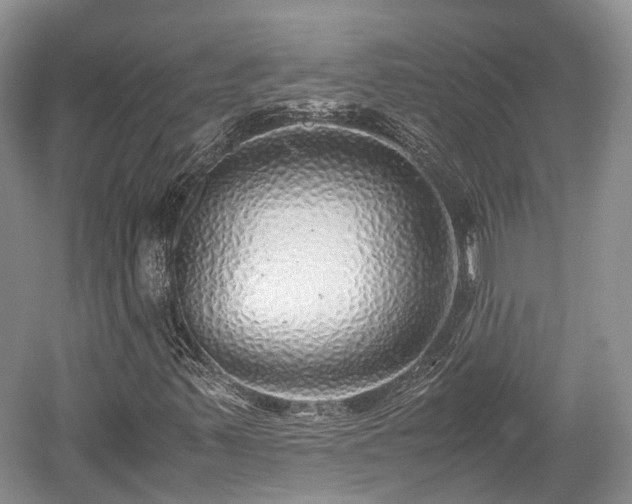 X0000059801347200510241318