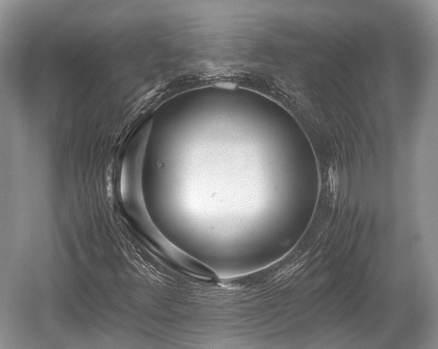 X0000059801348200510241318