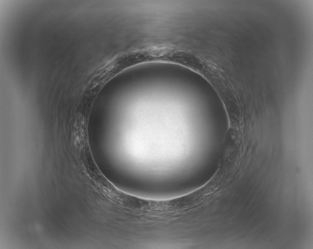 X0000059801349200510241318