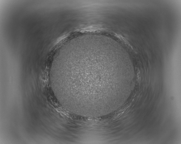 X0000059801350200510241318