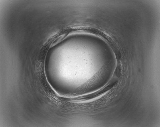 X0000059801351200510241318