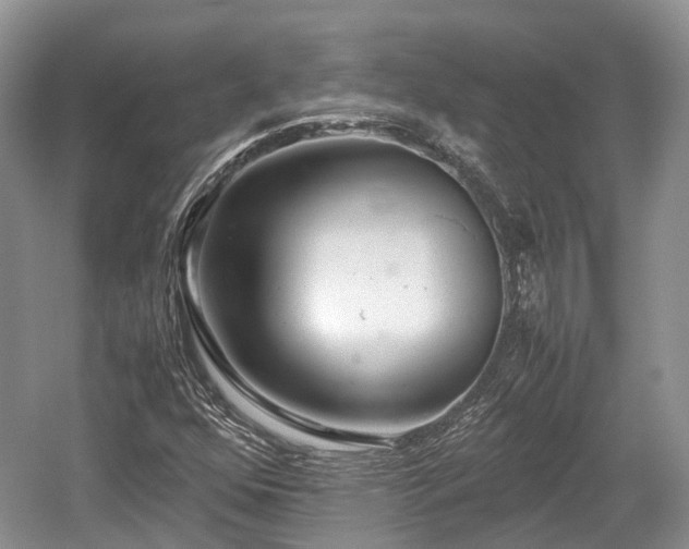 X0000059801352200510241318