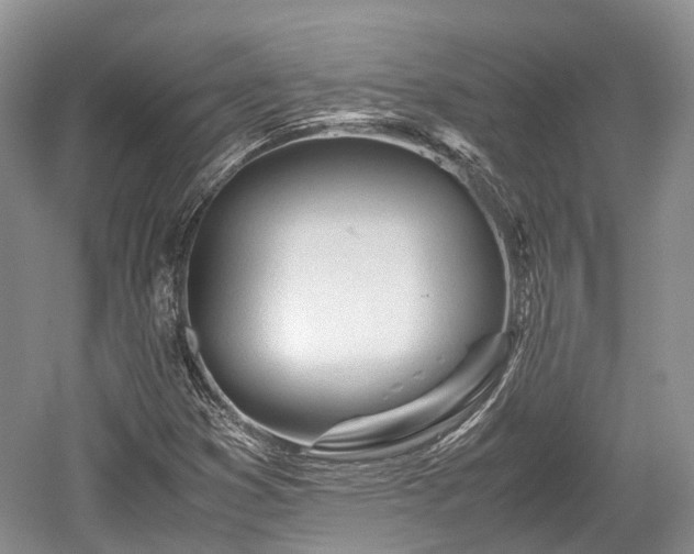 X0000059801353200510241318