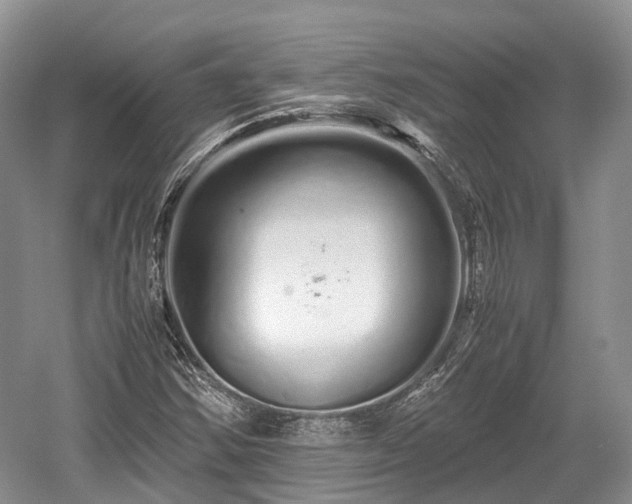 X0000059801354200510241318