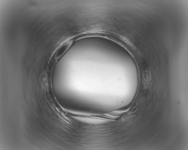 X0000059801356200510241318