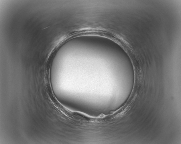 X0000059801357200510241318