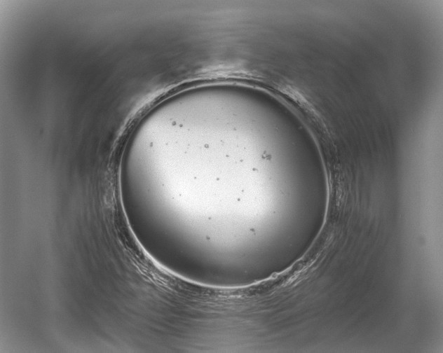 X0000059801358200510241318