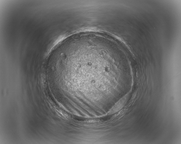 X0000059801359200510241318