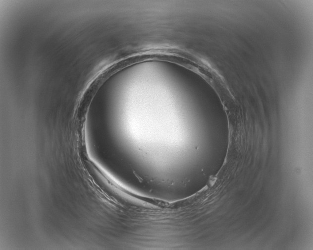 X0000059801360200510241318