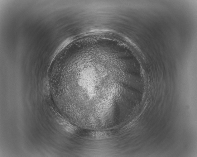 X0000059801362200510241318