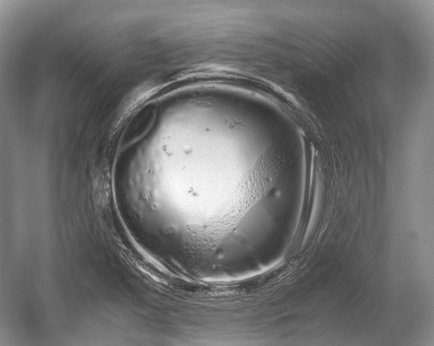 X0000059801363200510241318