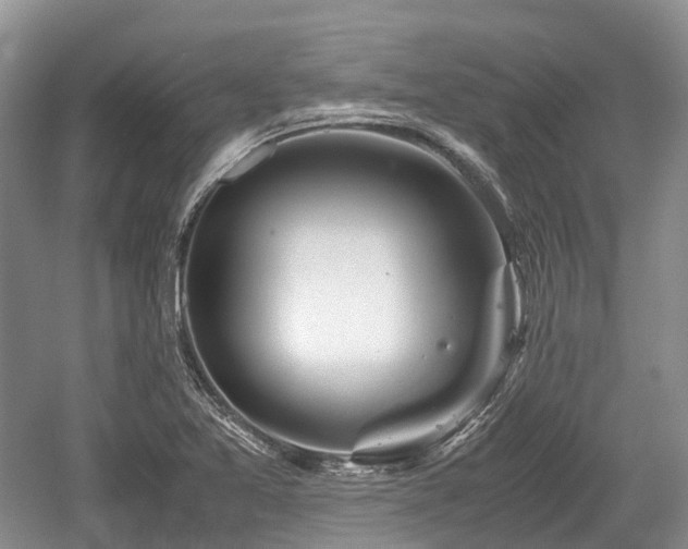 X0000059801365200510241318