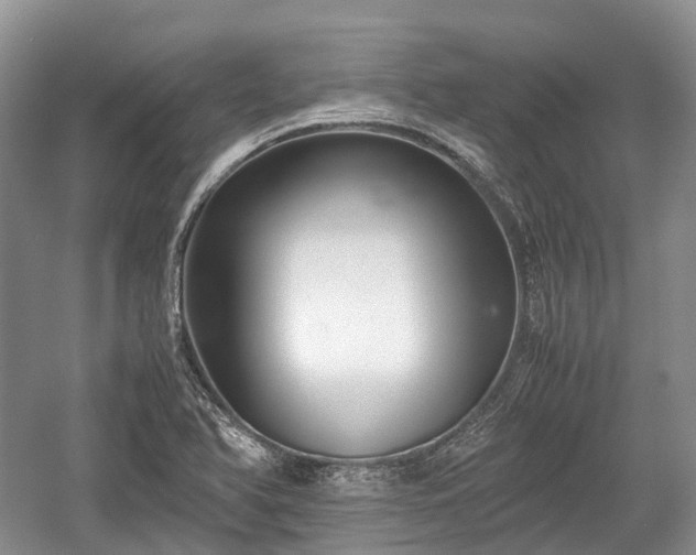 X0000059801366200510241318