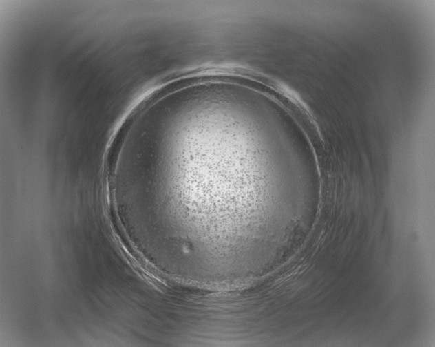 X0000059801368200510241318